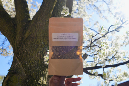 Sweet Lee’s Breathe Free Tea Blend held against a blooming tree, showcasing its herbal ingredients for respiratory support